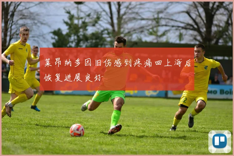 莱昂纳多因旧伤感到疼痛回上海后恢复进展良好