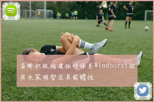 黄蜂积极构建独特体系Windhorst称其决策明智且具前瞻性