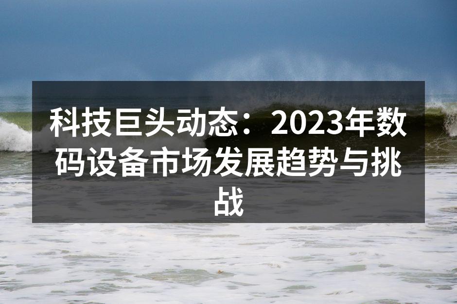 数码设备市场蓬勃发展