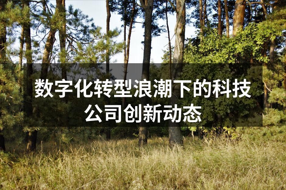 数字化转型浪潮下的科技公司创新动态